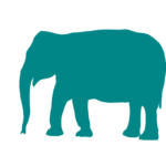 Animal icon rva pediatric dentistry in richmond va